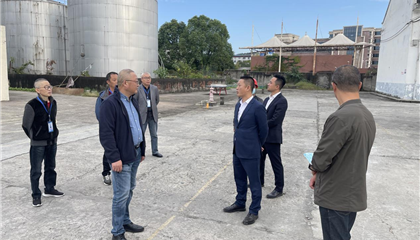 向誠調(diào)研督導(dǎo)國豐糧油公司重點(diǎn)項目建設(shè)工作