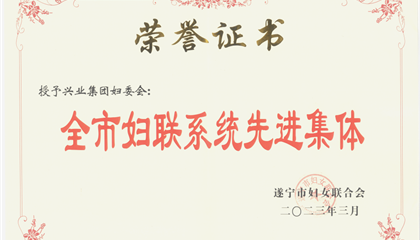 喜報！興業(yè)集團婦委會榮獲“全市婦聯(lián)系統(tǒng)先進集體”榮譽稱號