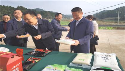 市委常委、政法委書記劉波濤帶隊調(diào)研指導定點幫扶村鄉(xiāng)村振興工作